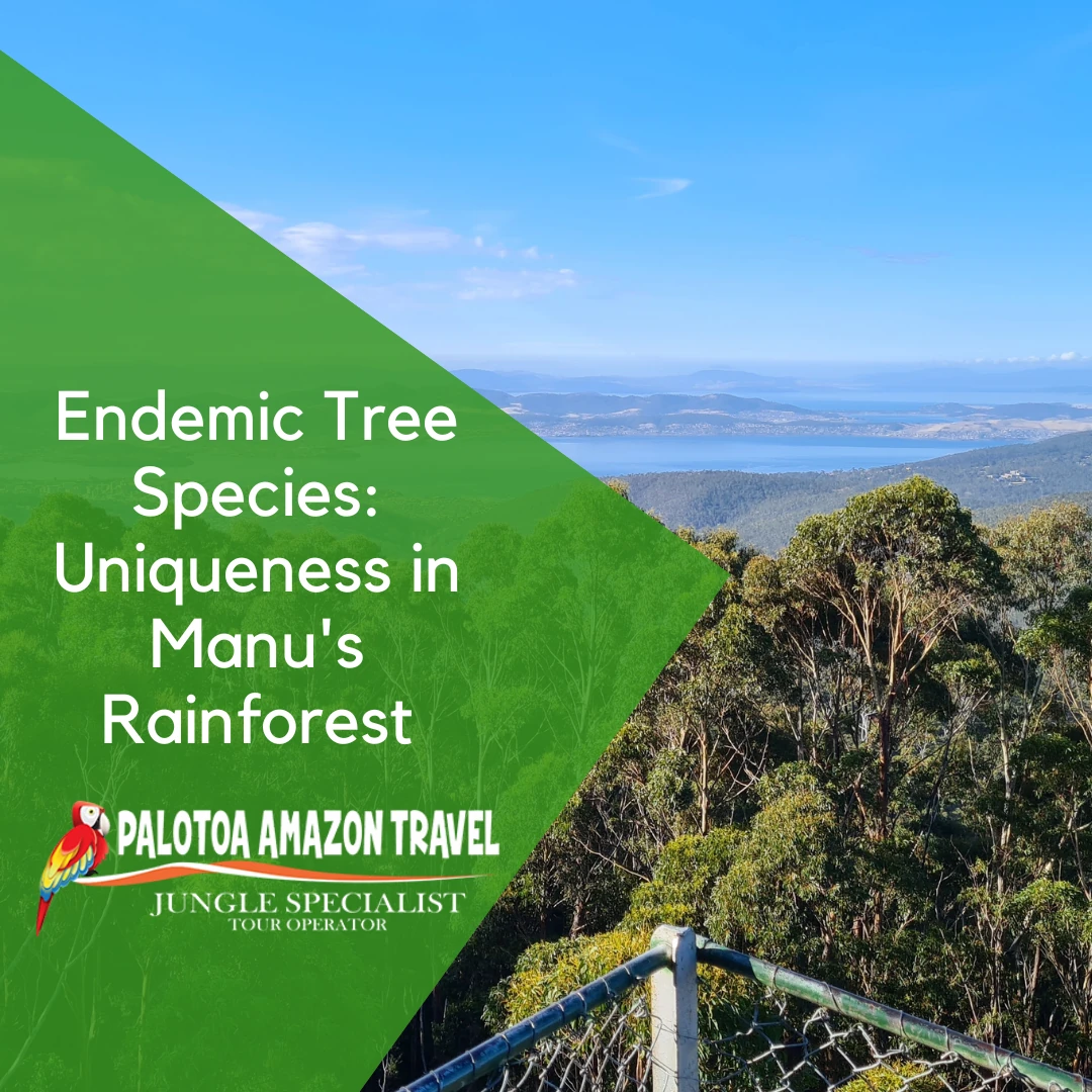 Tree Manu Endemic Tree Species: Uniqueness in Manu's Rainforest - 2024