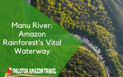 Manu River: Amazon Rainforest’s Vital Waterway