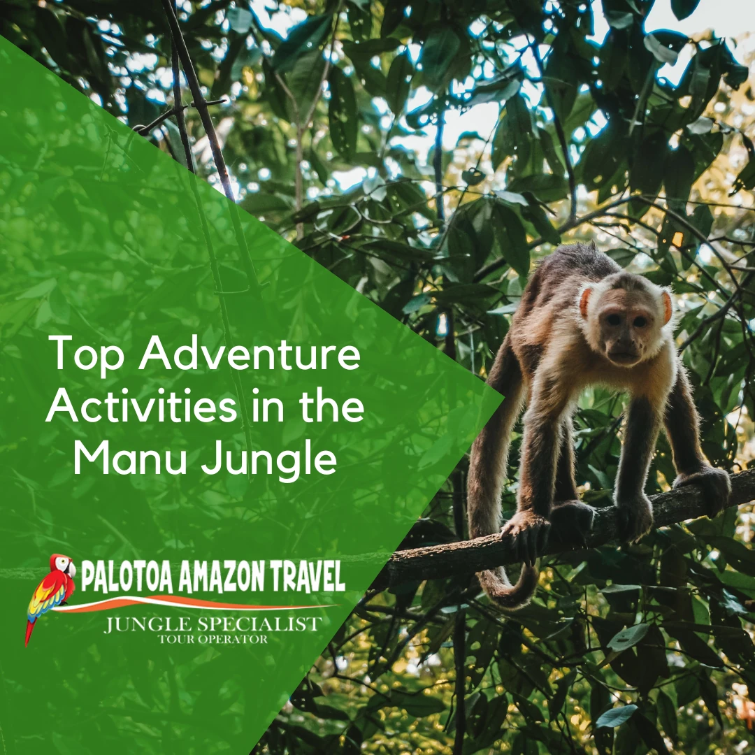 Top Adventure Activities in the Manu Jungle - Palotoa Amazon Travel