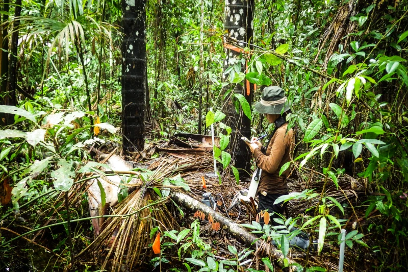 Top Trekking Routes in Manu National Park - Palotoa Amazon Travel