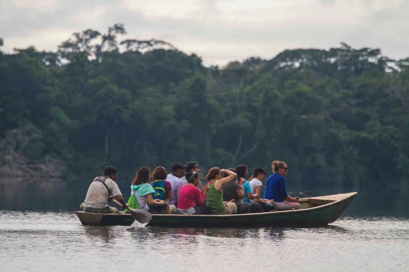 The Best Time to Visit Puerto Maldonado - Palotoa Amazon Travel