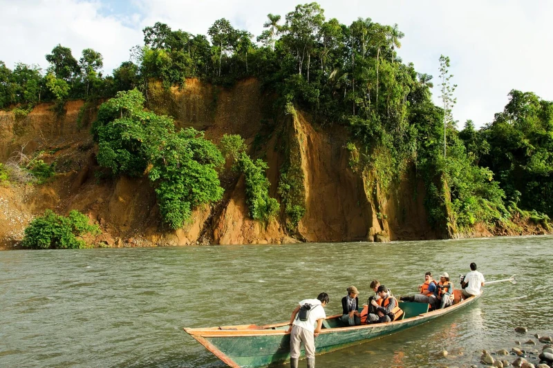 Top Adventures in Manu National Park You Can't Miss - Palotoa Amazon Travel