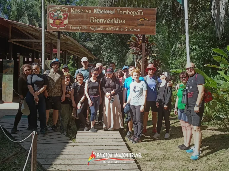 amazon-jungle-adventure-with-palotoa-travel