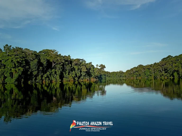 deep-wilderness-journey-palotoa-travel