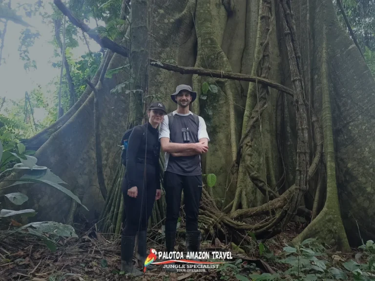 hidden-paradise-in-the-amazon-palotoa-travel