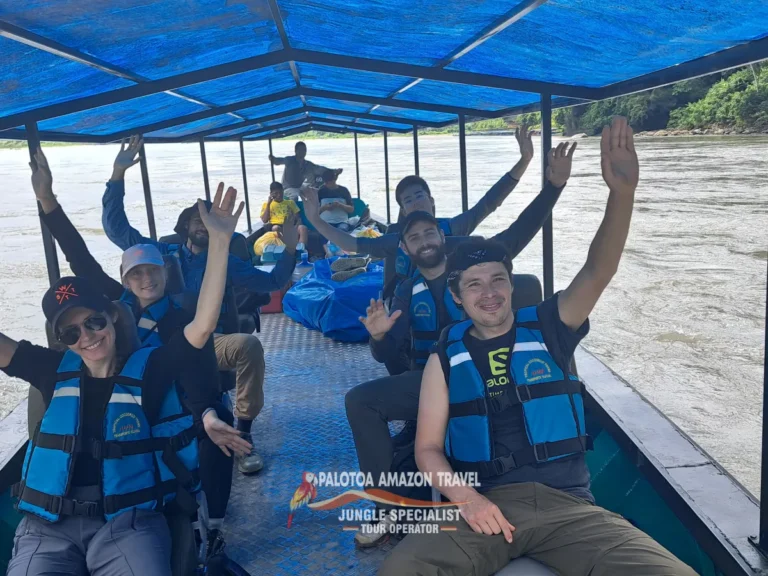 explore-remote-amazon-rainforest-palotoa