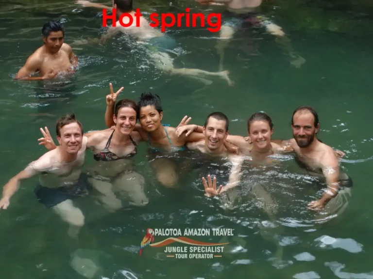 into-the-wild-with-palotoa-amazon-travel