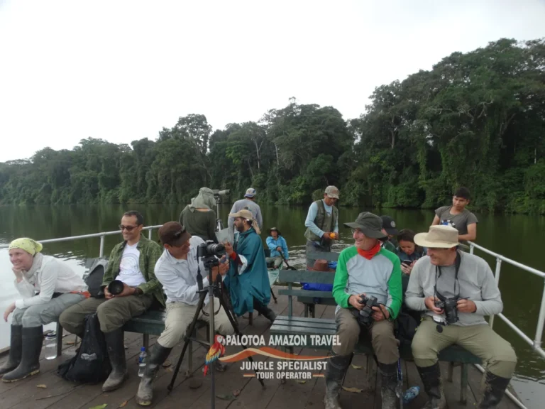 unforgettable-amazon-expeditions-palotoa-travel