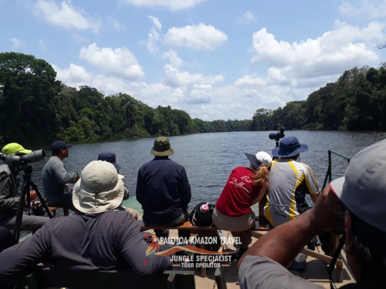 deep-jungle-trekking-palotoa-amazon-travel