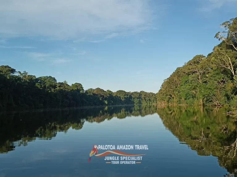 authentic-amazon-adventure-with-palotoa