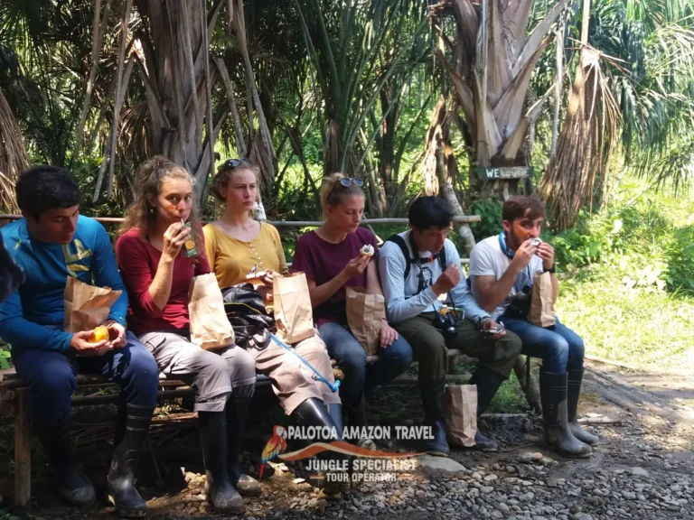 discover-the-heart-of-the-amazon-with-palotoa