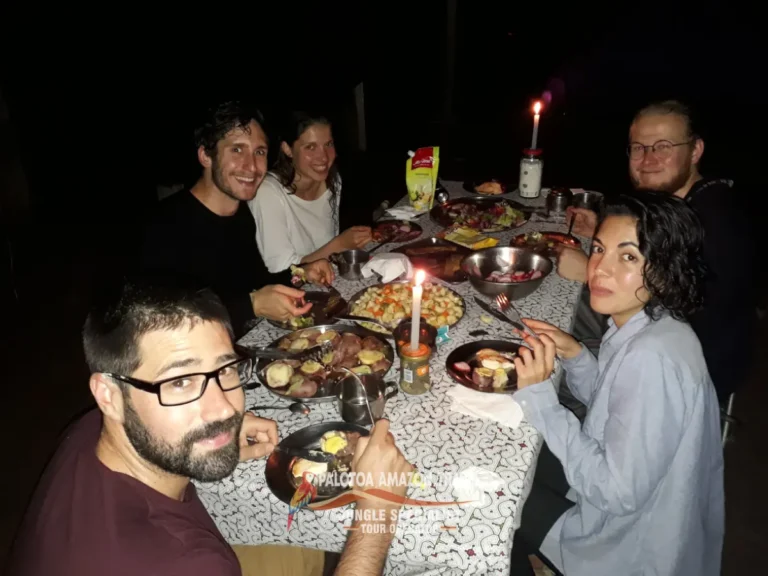 amazon-rainforest-wildlife-tour-palotoa