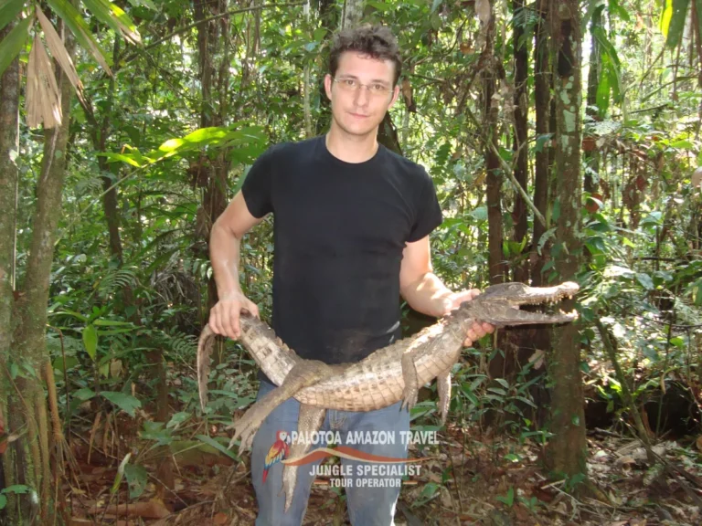 amazon-river-expeditions-palotoa-travel