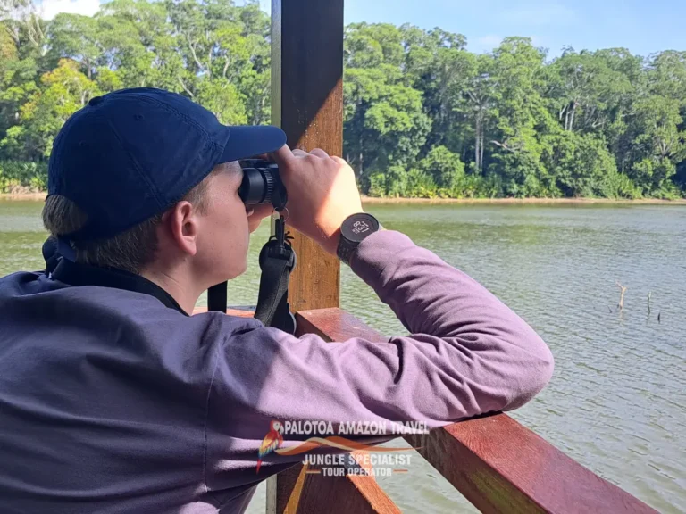 authentic-amazon-adventure-with-palotoa