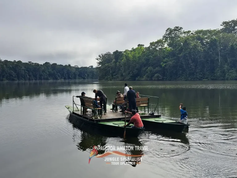 eco-friendly-amazon-adventures-palotoa-travel