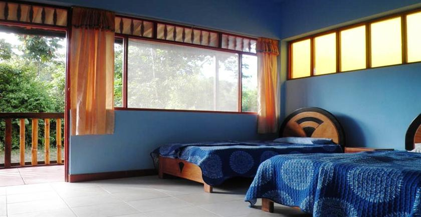 amazonian-jungle-life-adventure-palotoa-travel