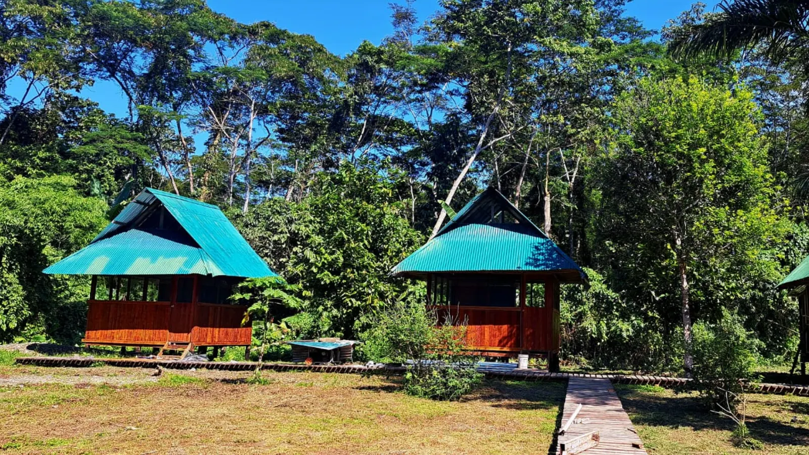 untouched-jungle-eco-experience-palotoa-travel