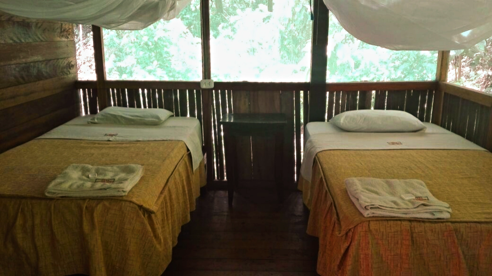 discover-the-wonders-of-the-jungle-palotoa