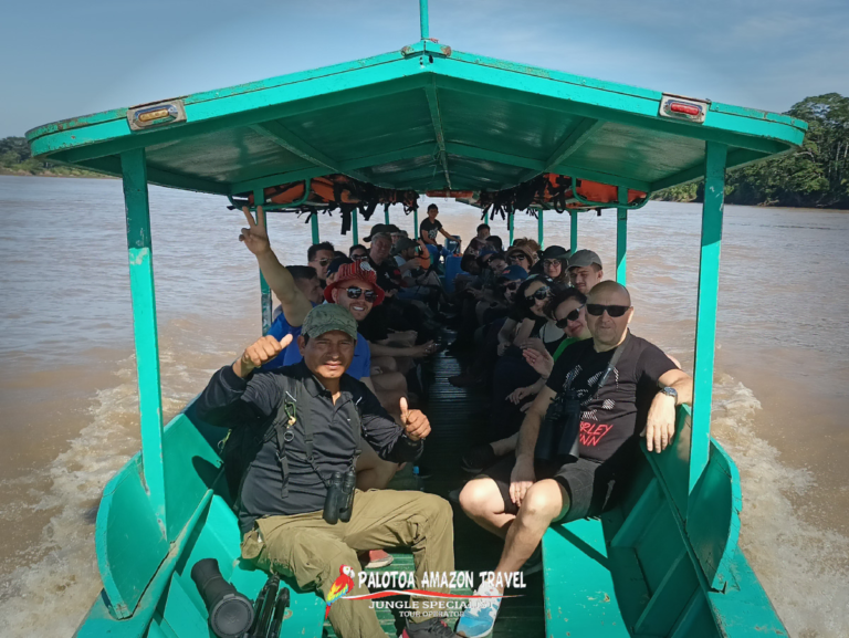 amazonian-adventure-deep-in-nature-palotoa