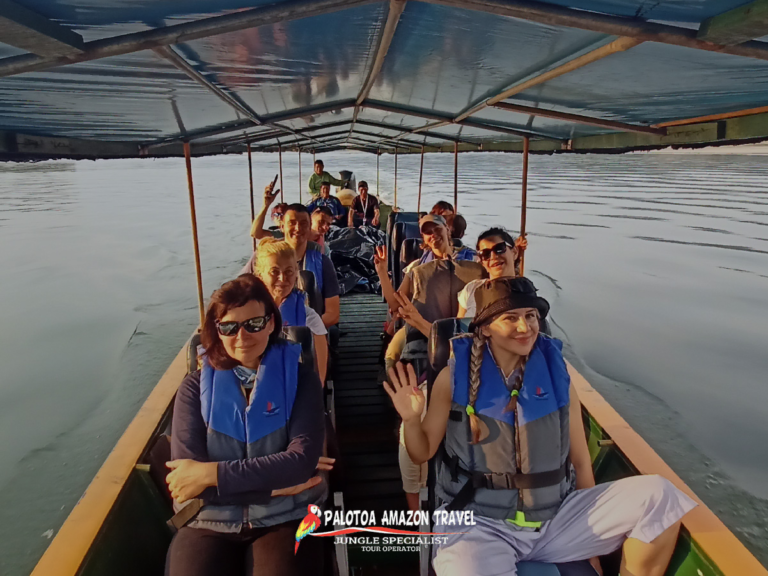 off-the-beaten-path-rainforest-travel-palotoa