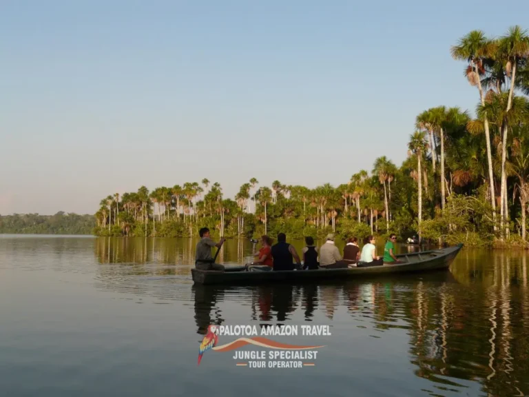waltz-in-palotoa-lakes-amazon
