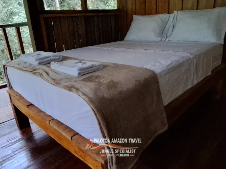 comfort-in-palotoa-amazon-travel