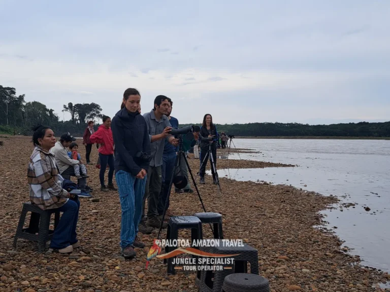 along-the-river-bank-in-palotoa-amaozn-travel