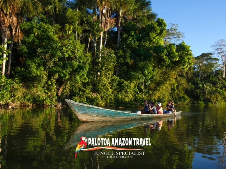 amazon-riverboat-tours-palotoa-travel