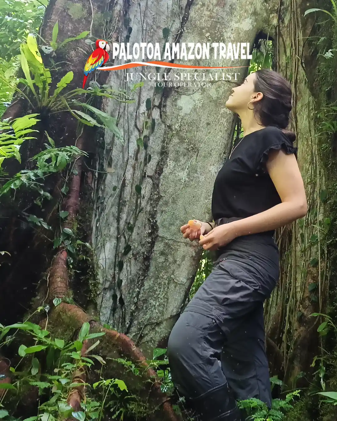 Palotoa Amazon Travel