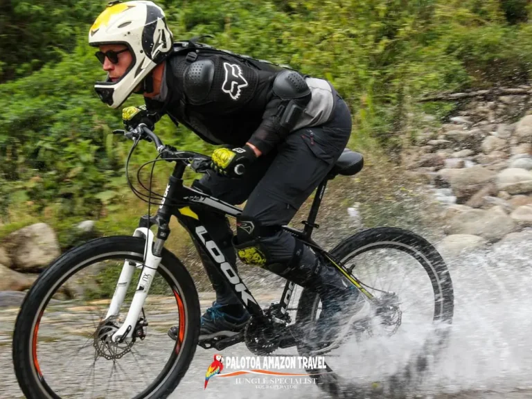 responsible-eco-tourism-in-the-amazon-palotoa