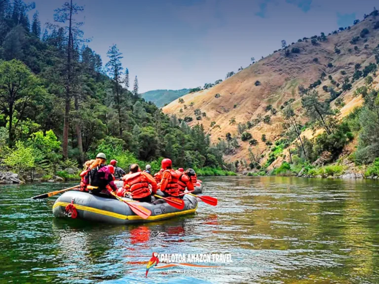 jungle-and-river-exploration-palotoa-travel