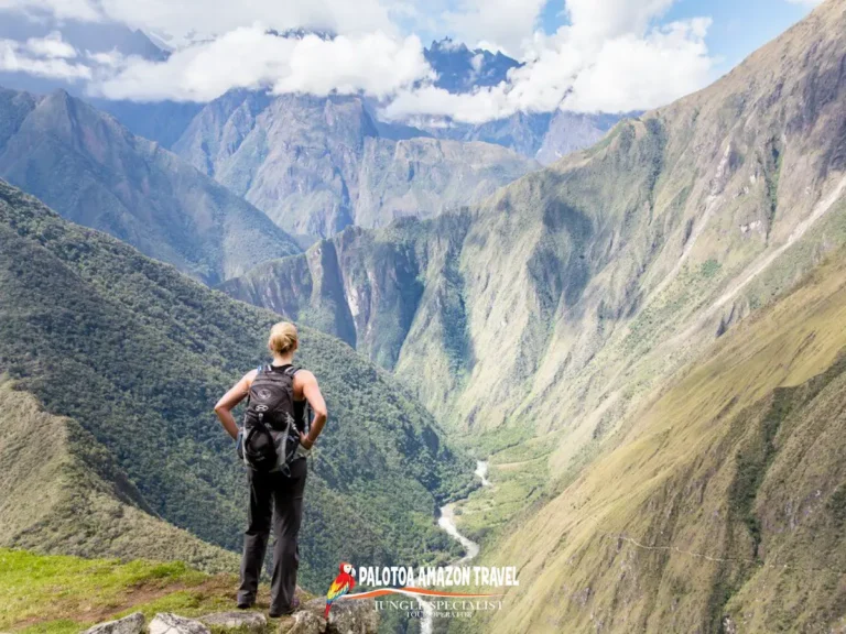 palotoa-amazon-travel-discover-hidden-nature