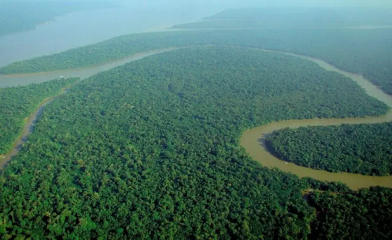 How Dangerous Is the Amazon Rainforest?