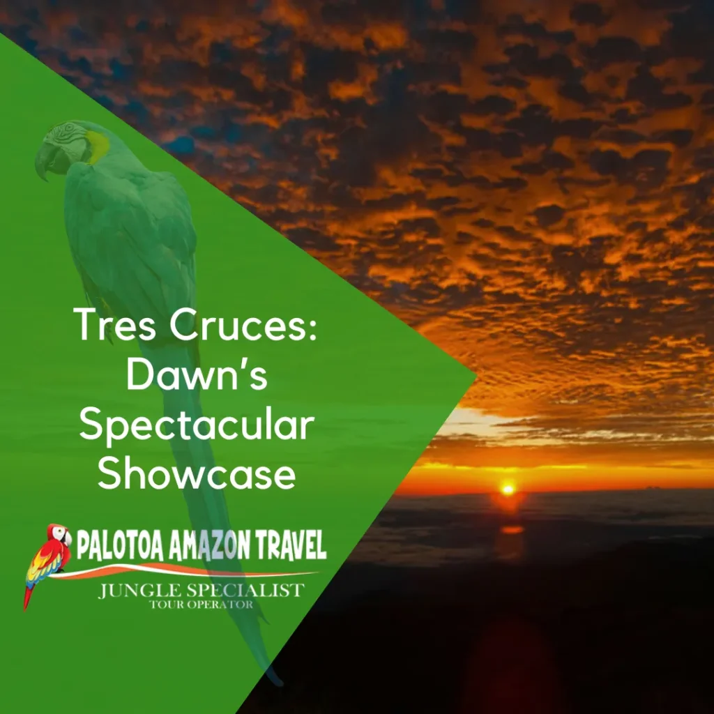 Tres-Cruces-Dawns