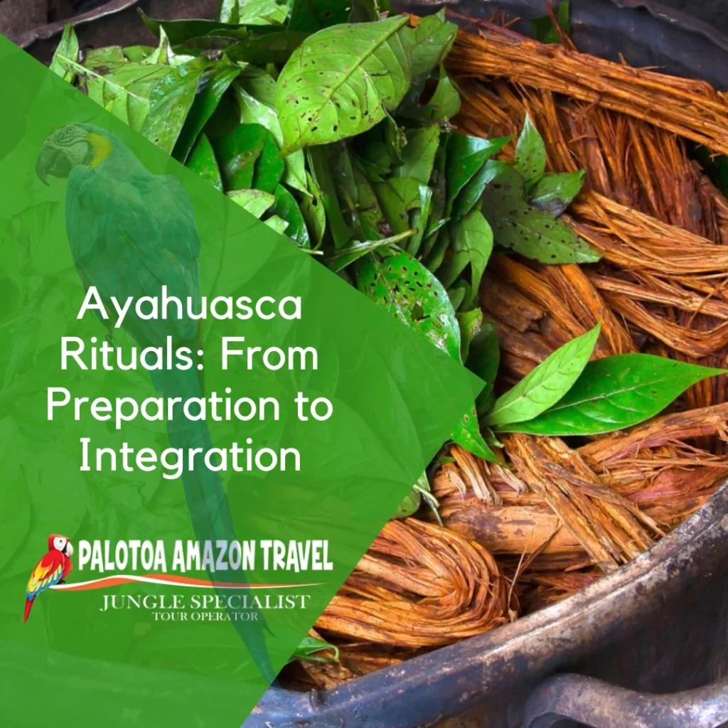 ayahuasca-rituals