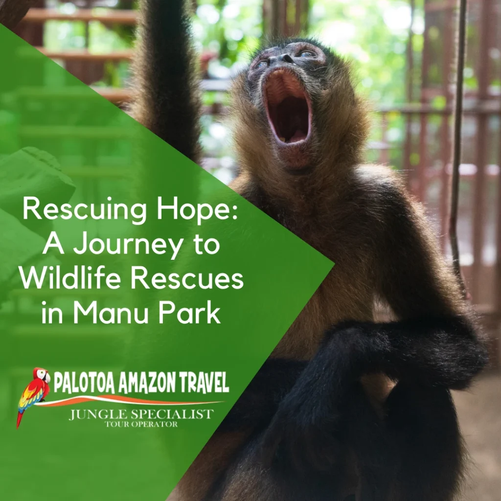 Rescuing Hope