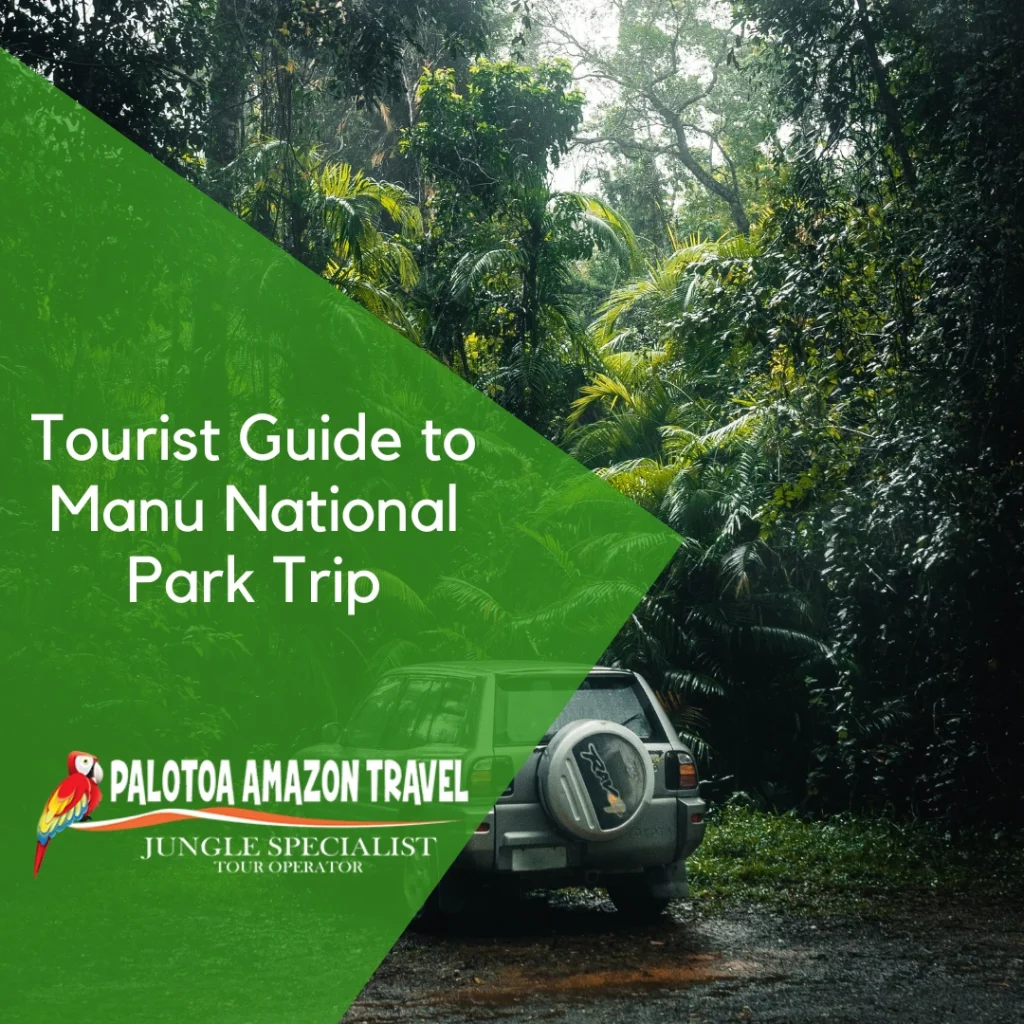 Tourist Guide to Manu National Park