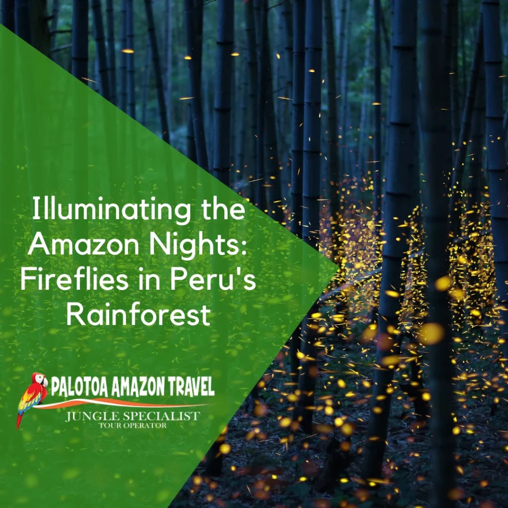illuminating-the-amazon