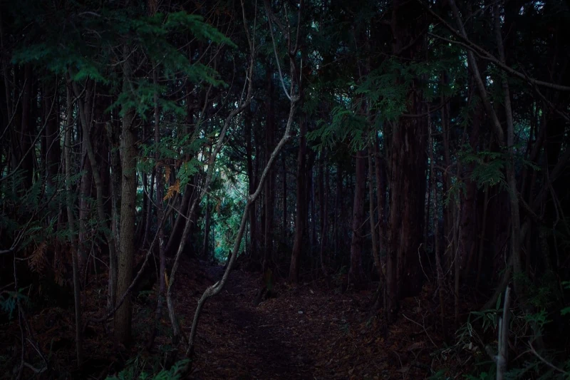 nocturnal