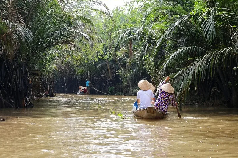 Amazon Rainforest 
