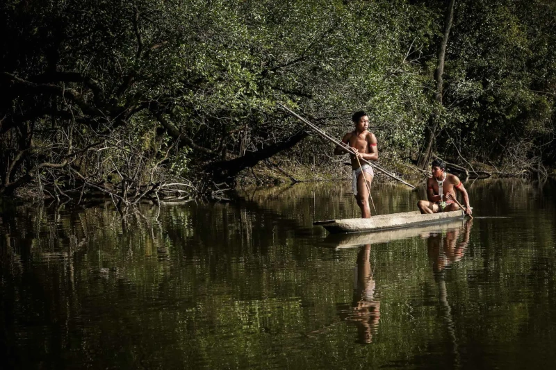Plant Deep Within, Amazon Rainforest