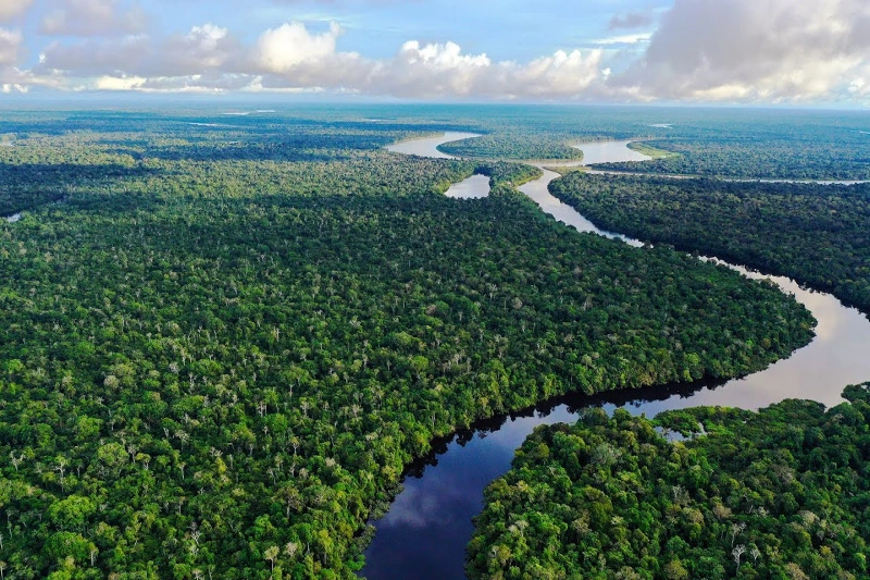 Best Amazon Rainforest Tours
