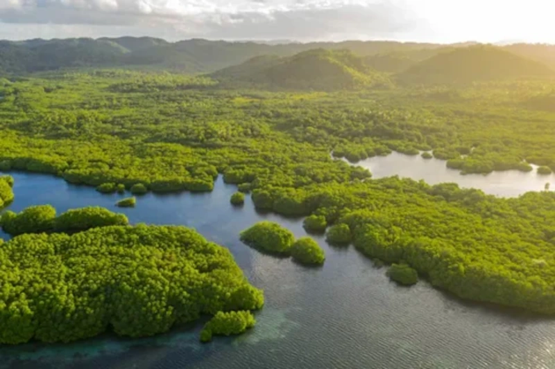 peru tropical forest ecosystems