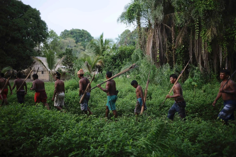 amazon indigenous tribes, animals becoming extinct