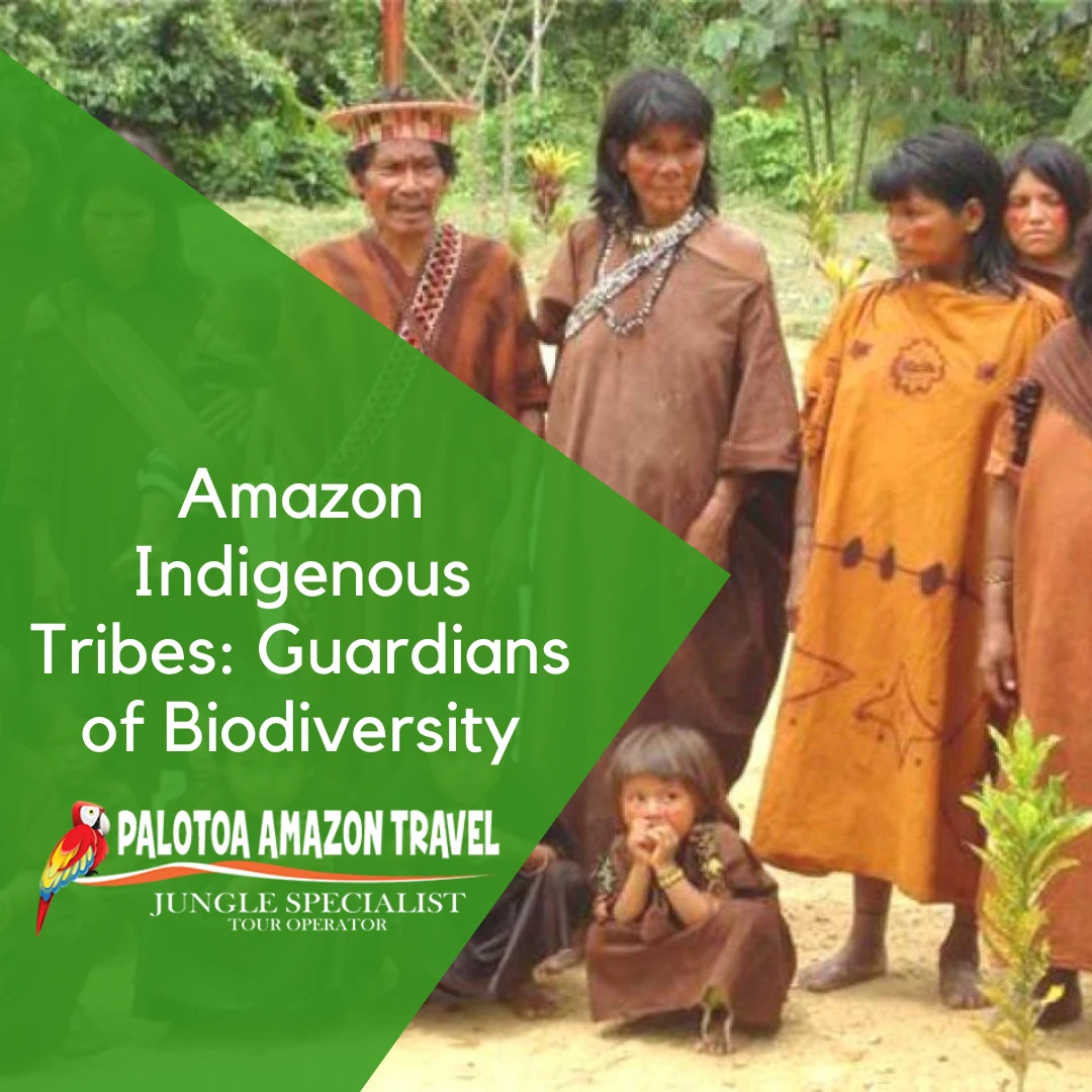 amazon indigenous tribes
