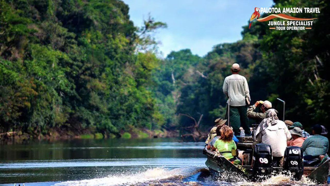 Amazon Peru Travel Guide