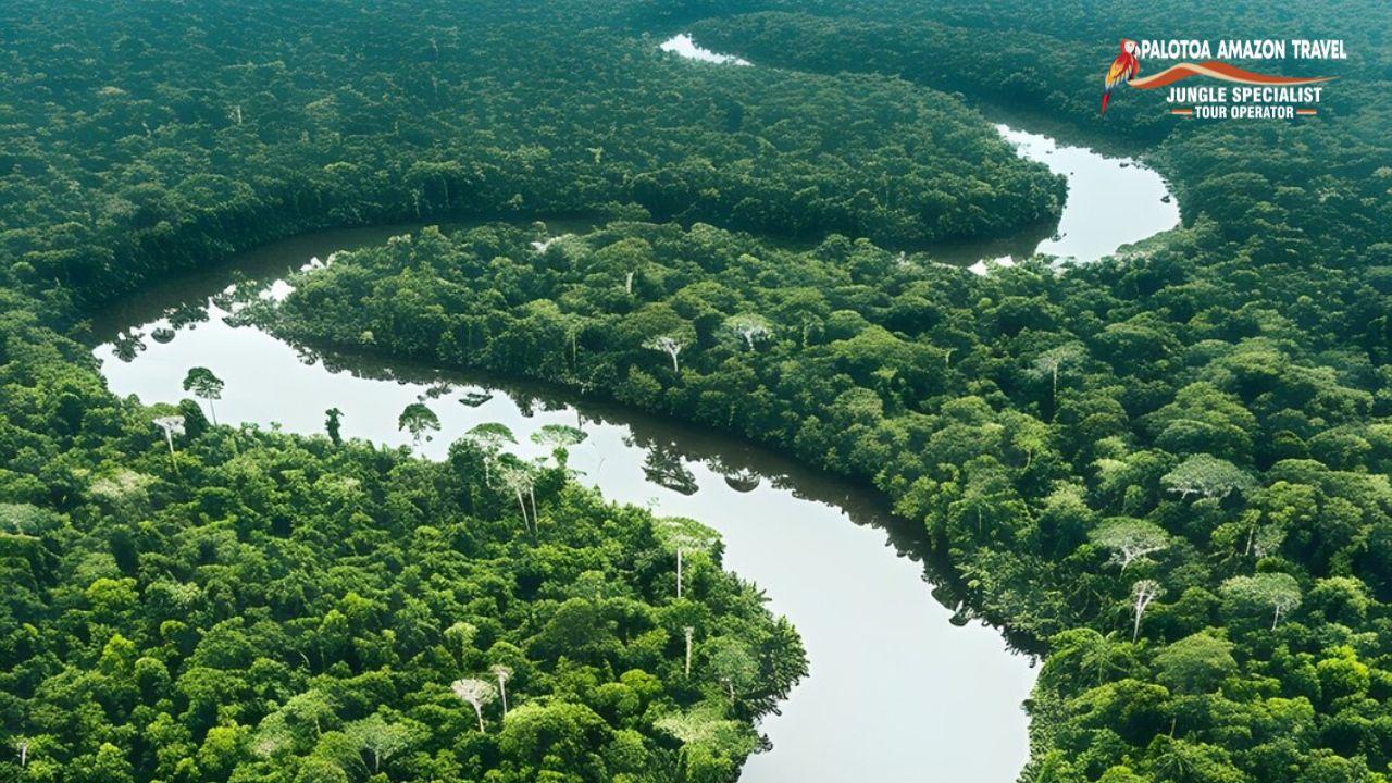 Amazon river
