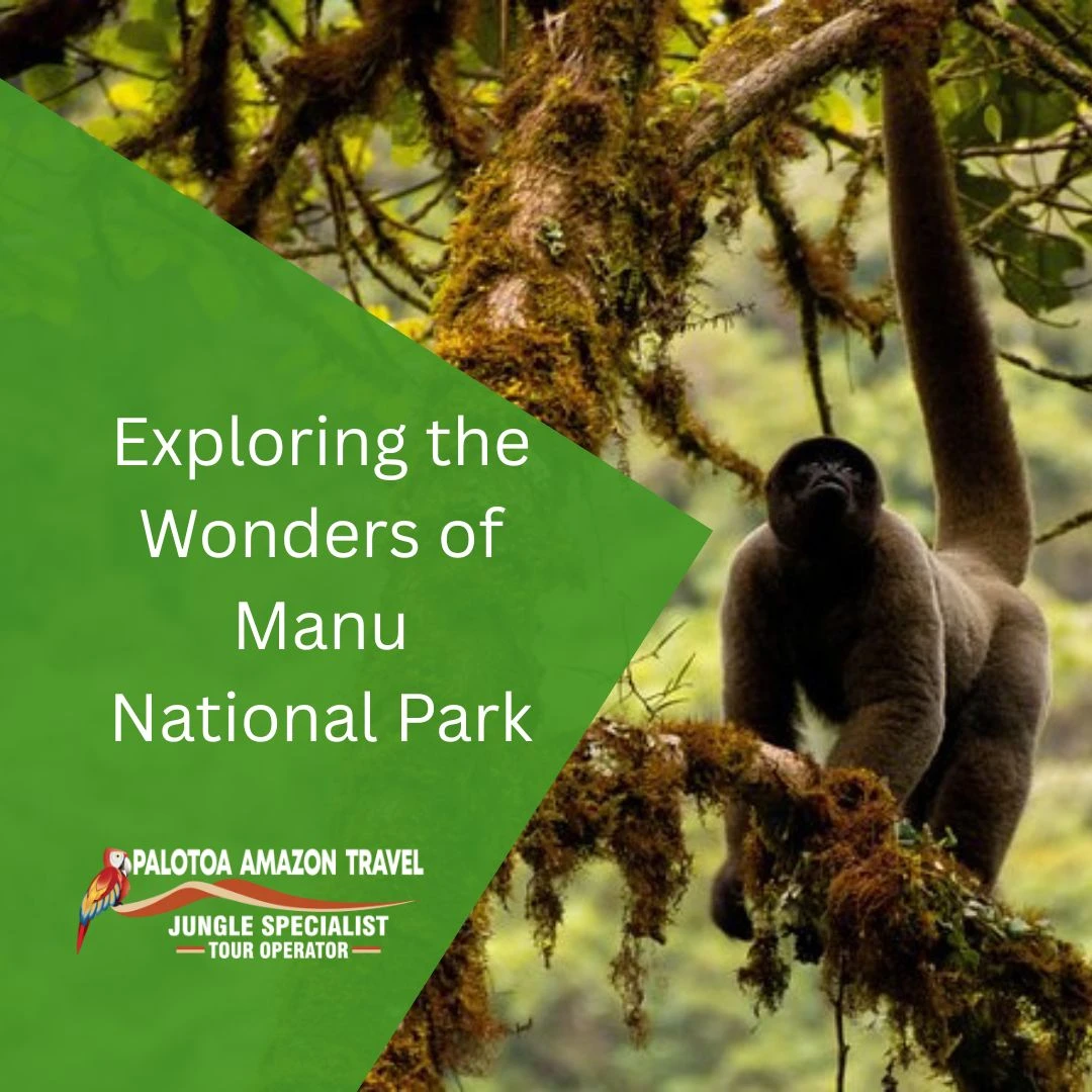 Manu National Park Tours