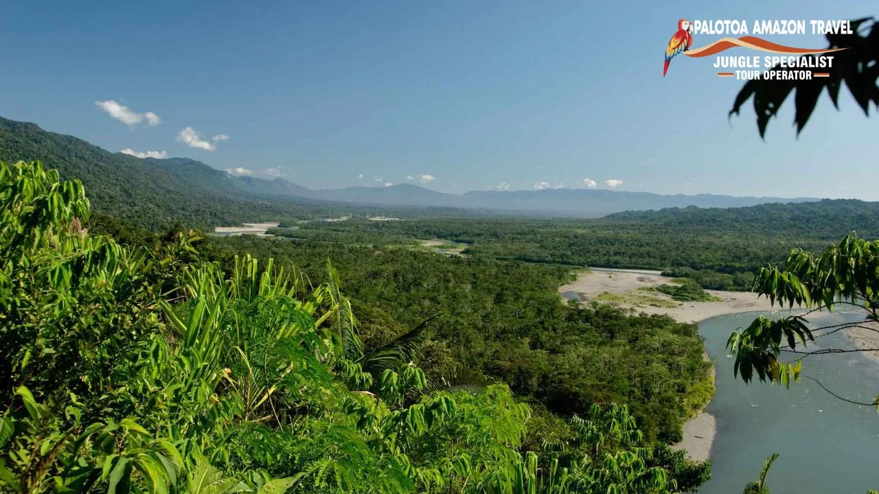Manu National Park Trips