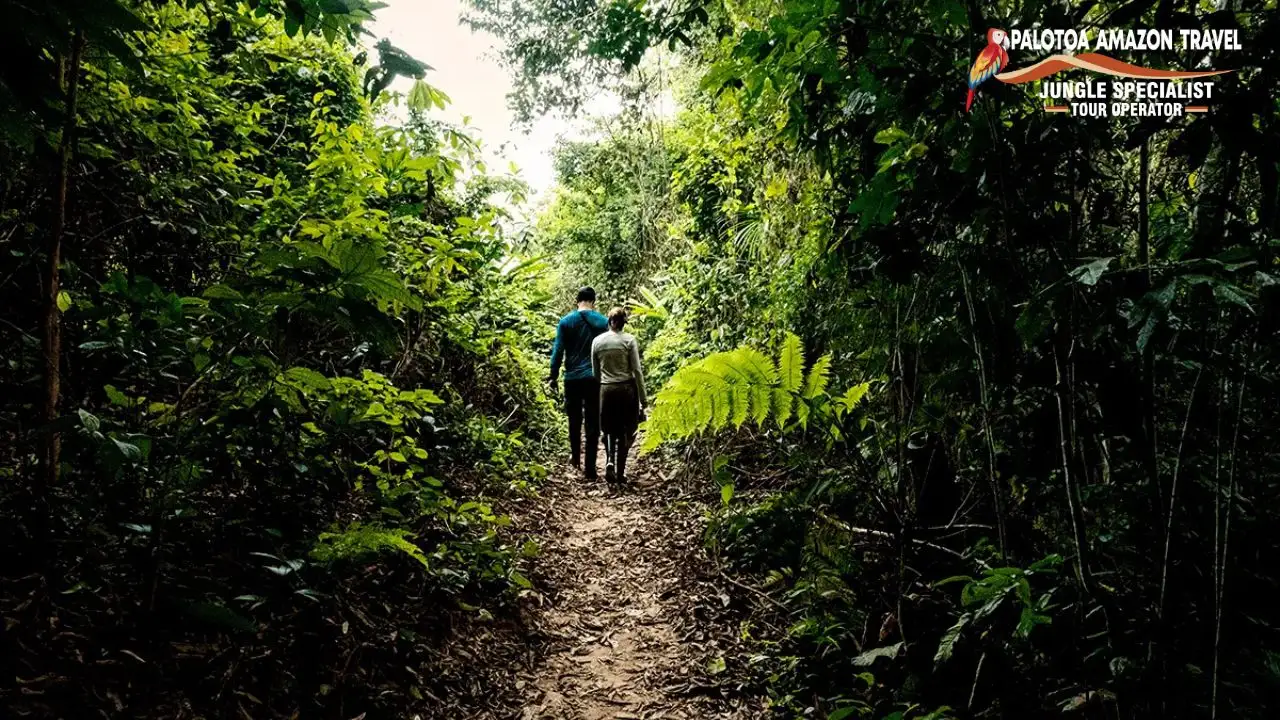 Peruvian Amazon
